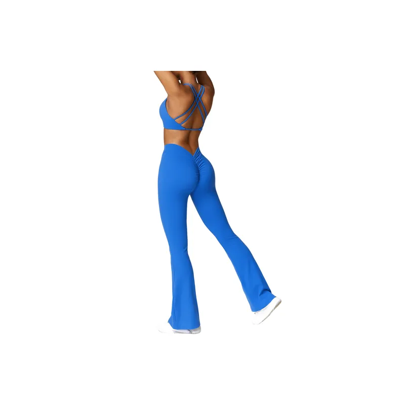 Plain Sporty Nylon Spandex Brushed Fabric Fitness Kit Women-5
