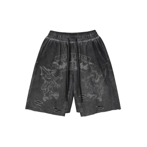 Ripped Trendy Distressed Shorts