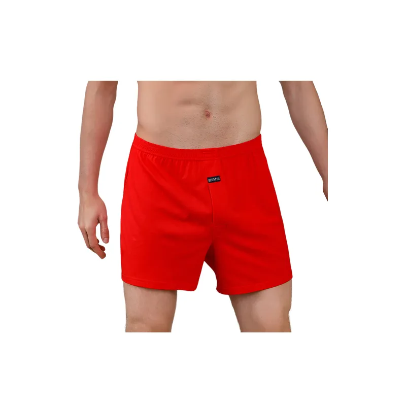 Fashionable Simple Boxer Shorts-5
