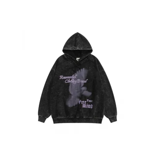 Washed Unreal Pigeon Printed Hooded Sweat