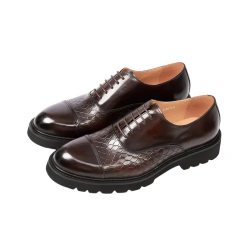 Fashionable Elegant Dress Shoes