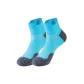 Blue-1 pair