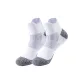 White-1 pair