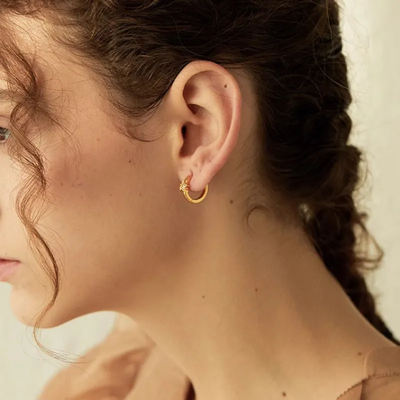 Elegant Star Geometric Earring-2