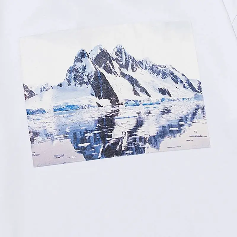 Simple Basics Cotton T Shirt-3