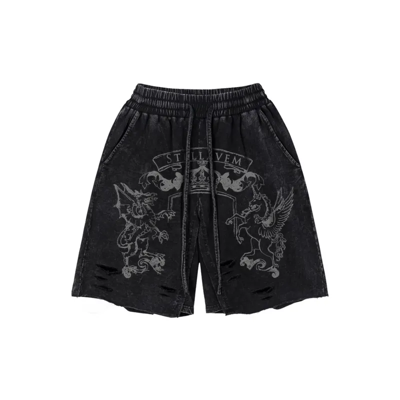 Ripped Trendy Distressed Shorts-0