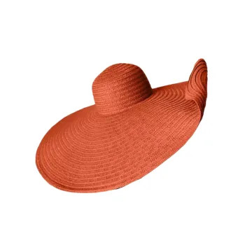 Fashionable Plain Sun Protective Hat