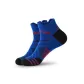 Blue-1 pair