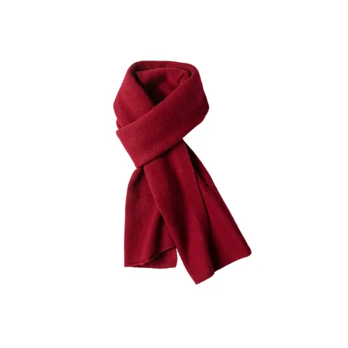 Fashionable Basics Knit Scarf