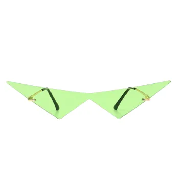 Fashionable Simple Sunglasses