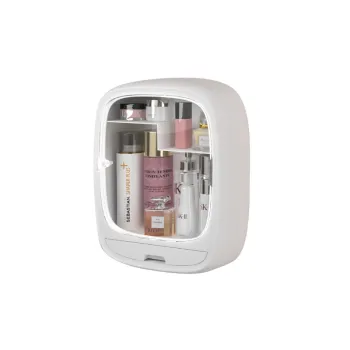 Simple Plain Beauty Storage Boxes