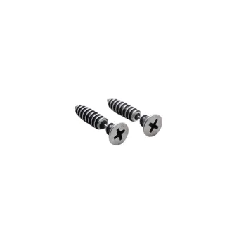 925 Sterling Silver Screw Stud Earring