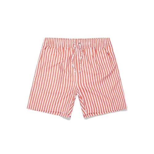 Casual Vacation Beach Shorts