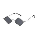 Silver Frame with Gray Lens