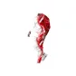 Red White