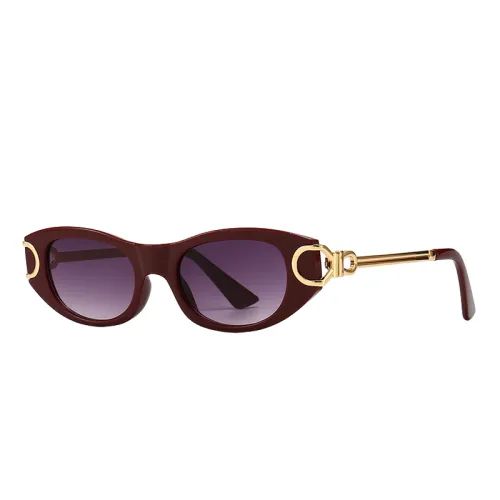 chloe franky round acetate sunglasses