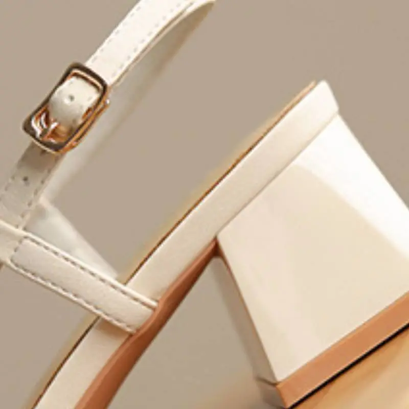 Elegant Contrast Color Mary Jane Shoes-4