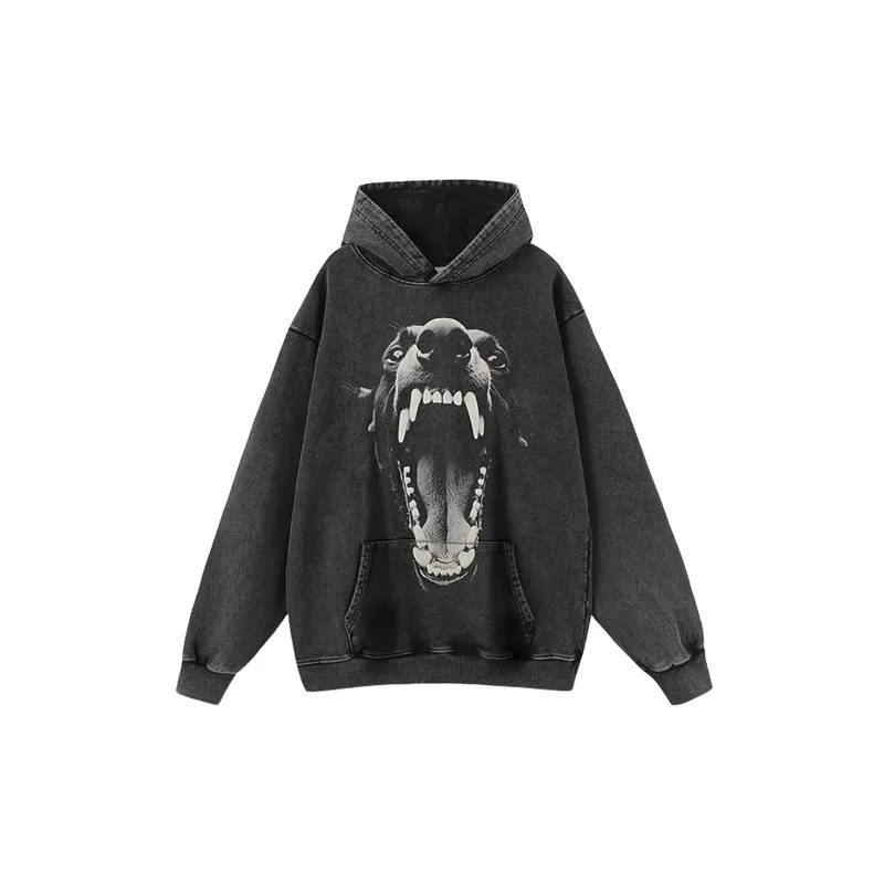Fashionable Anima Sweatshirt-0