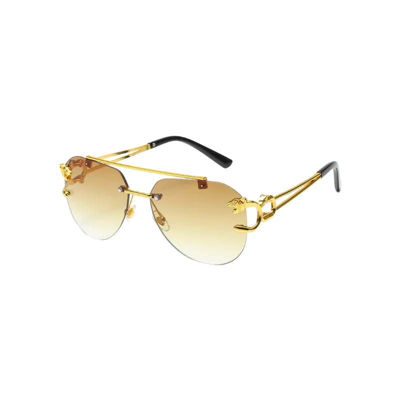 Simple Fashionable Sunglasses