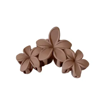 Fashionable Simple Hair Clip