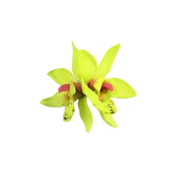 Casual Fashionable Hair Clip