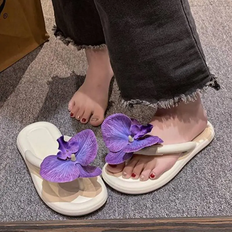 Basics Fashionable Flip Flops-1