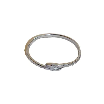 Fashionable Simple Bangle