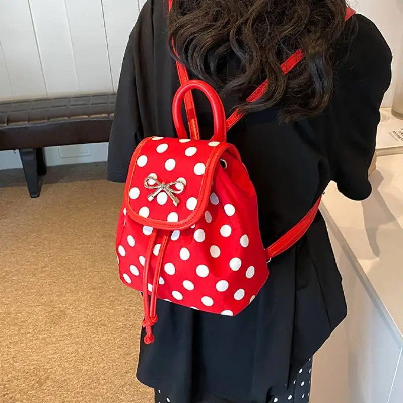Cute Fashionable Handbag-2