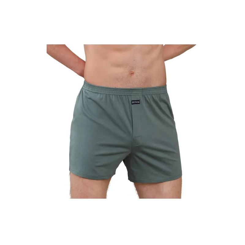 Fashionable Simple Boxer Shorts-8