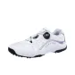 White Gray