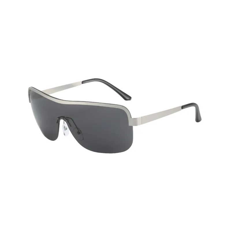 Fashionable Basics Sunglasses-2