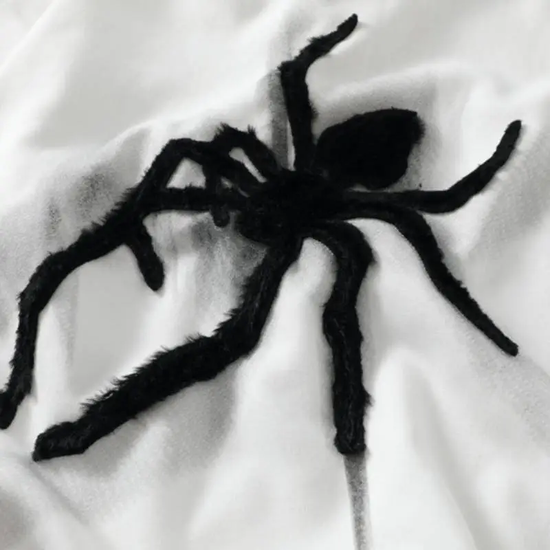Spider Button Sweatshirt-2
