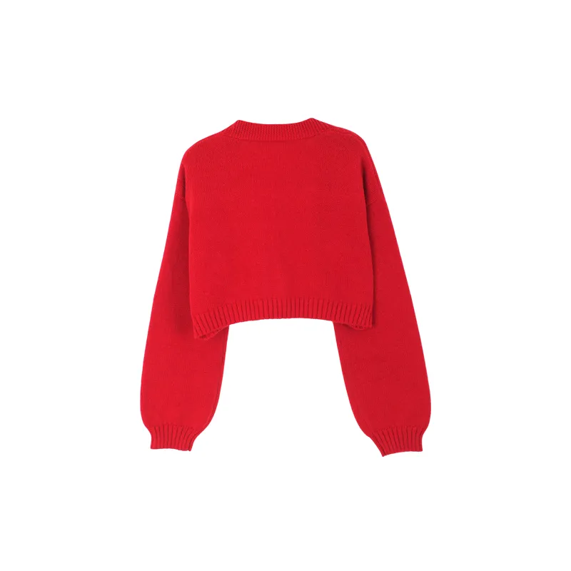Basics Long Sleeve Polyester Sweater Women-11
