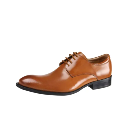 Fashionable Elegant Dress Shoes