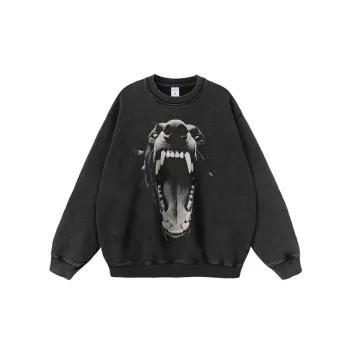 Fashionable Anima Sweatshirt