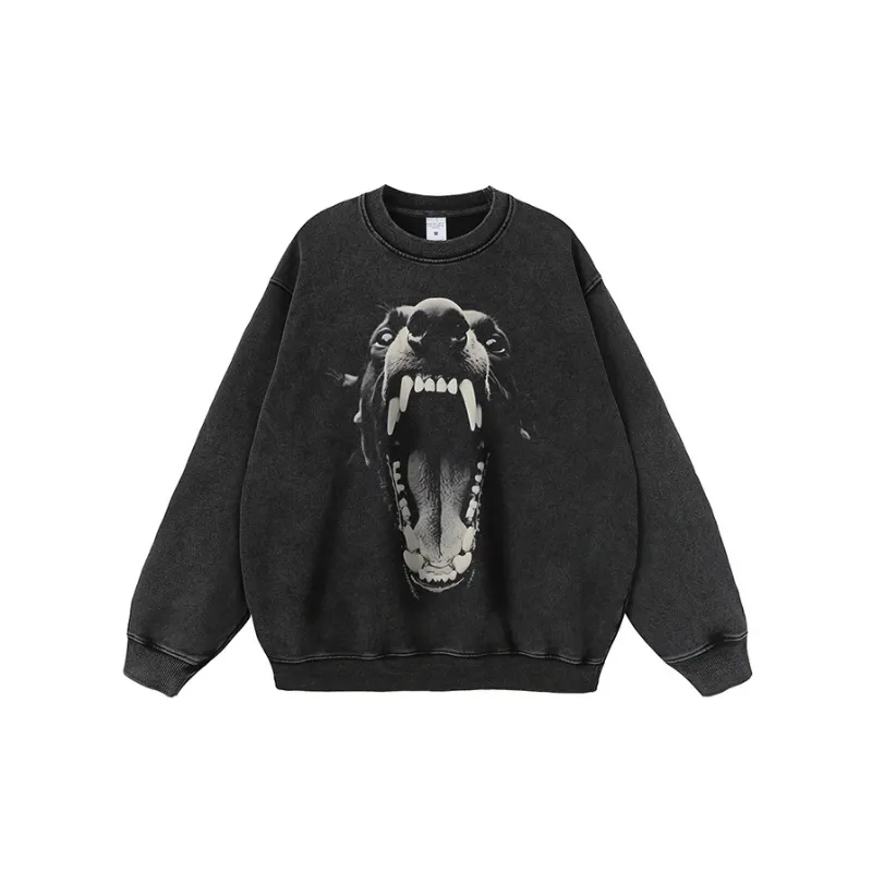 Fashionable Anima Sweatshirt-2