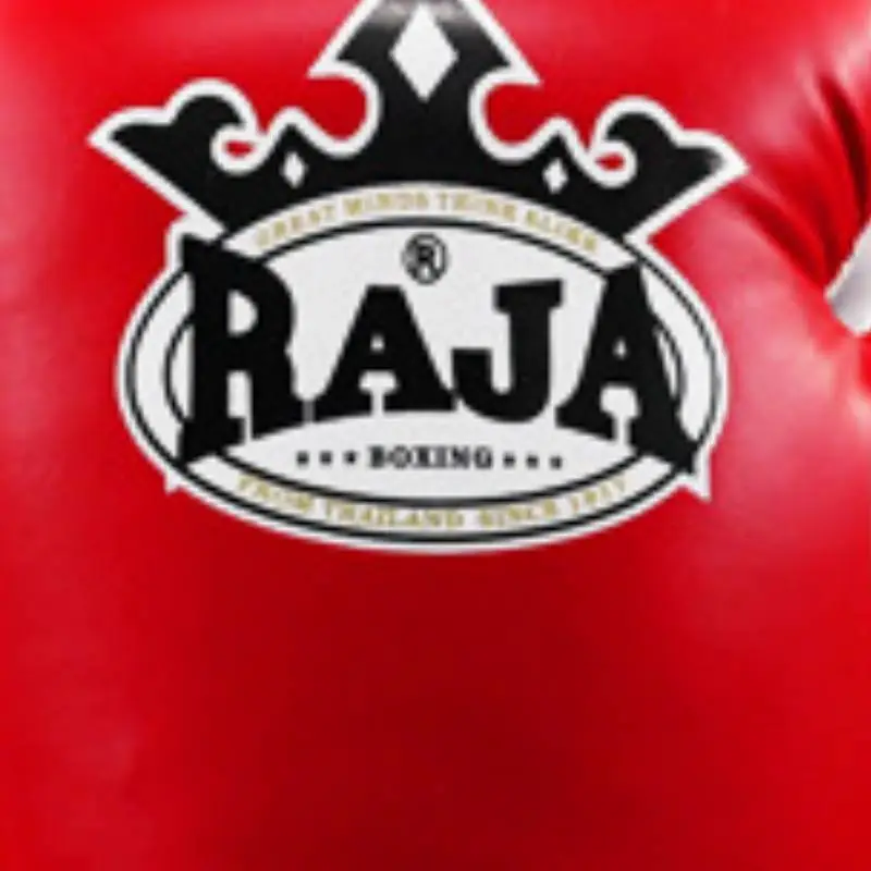 Basics Simple Boxing Gloves-4