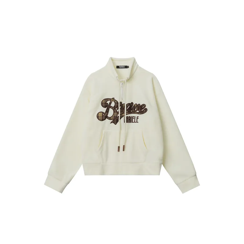 Fleece lined Brand Embroidered Loose Hoodie-2