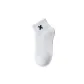 White-1 pair