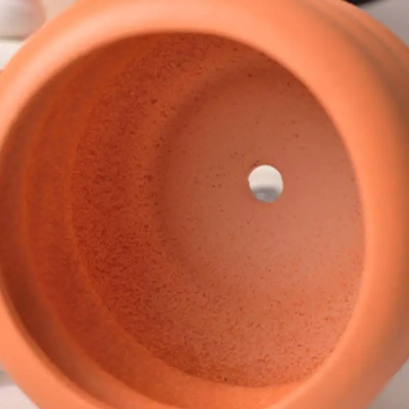 Home Use Simple Flower Pots-7