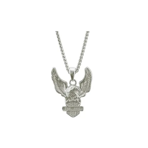 Alloy Eagle Wings Boutique Necklace