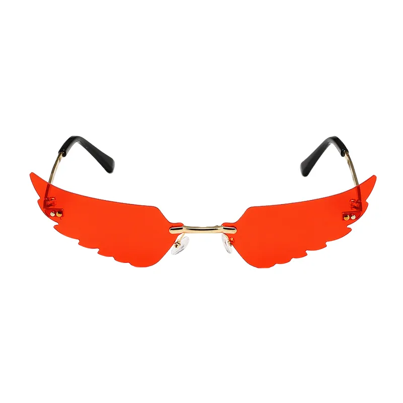 Fashionable Simple Sunglasses-1