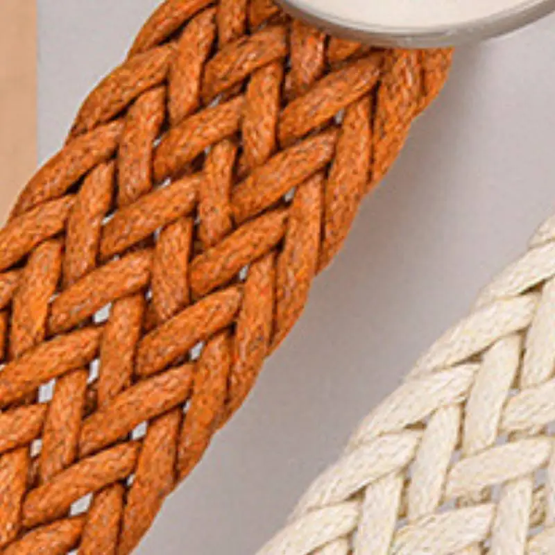 Fashion Trendy Other Belt-4