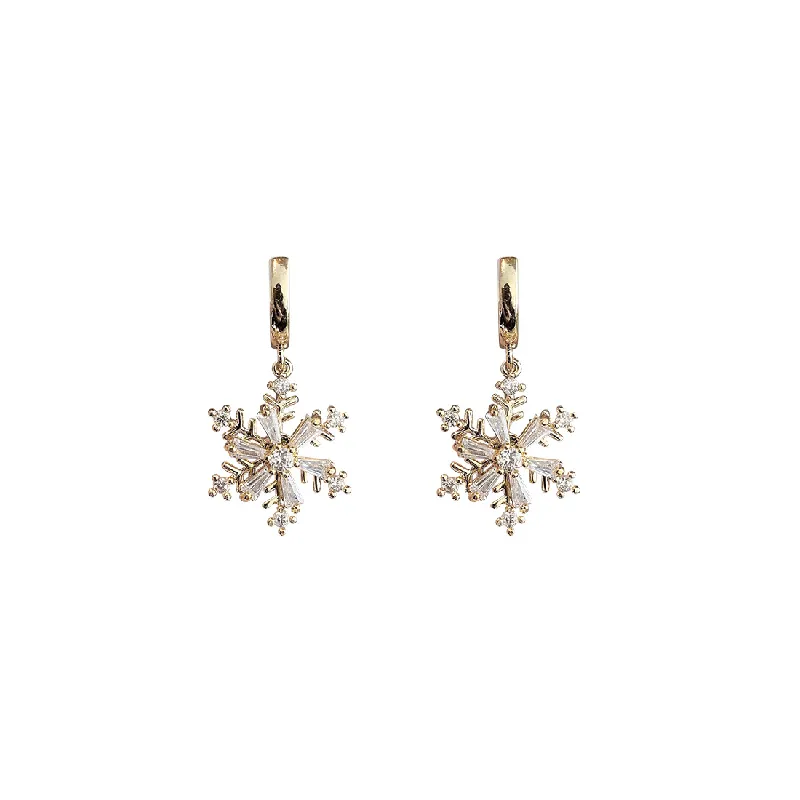 Cool Fashion Earring-0