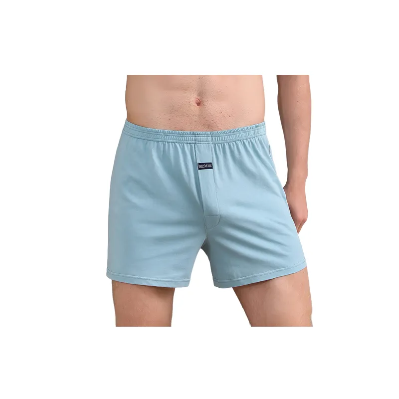 Fashionable Simple Boxer Shorts-2