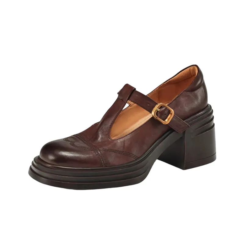 Retro Waterproof Mary Jane Shoes-0