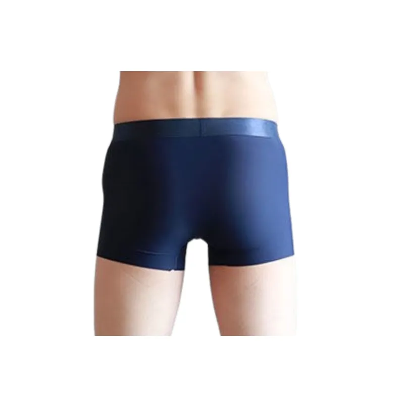Simple Elegant Underpants-4
