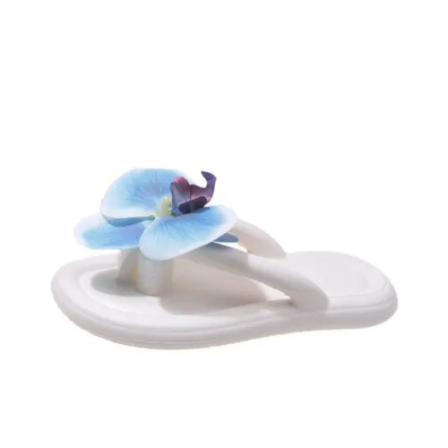 Basics Fashionable Flip Flops