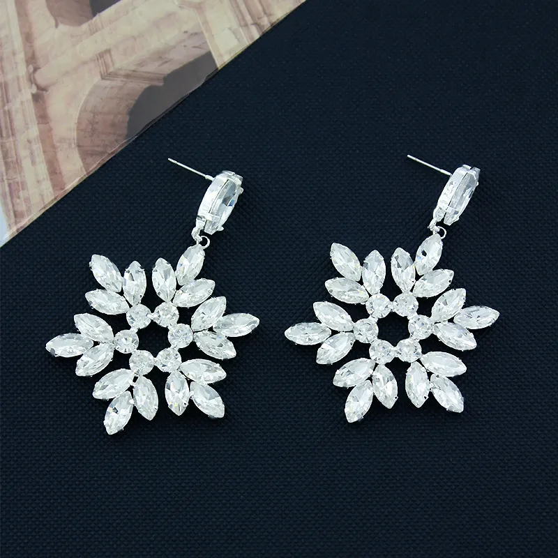Fashionable Simple Earring-1