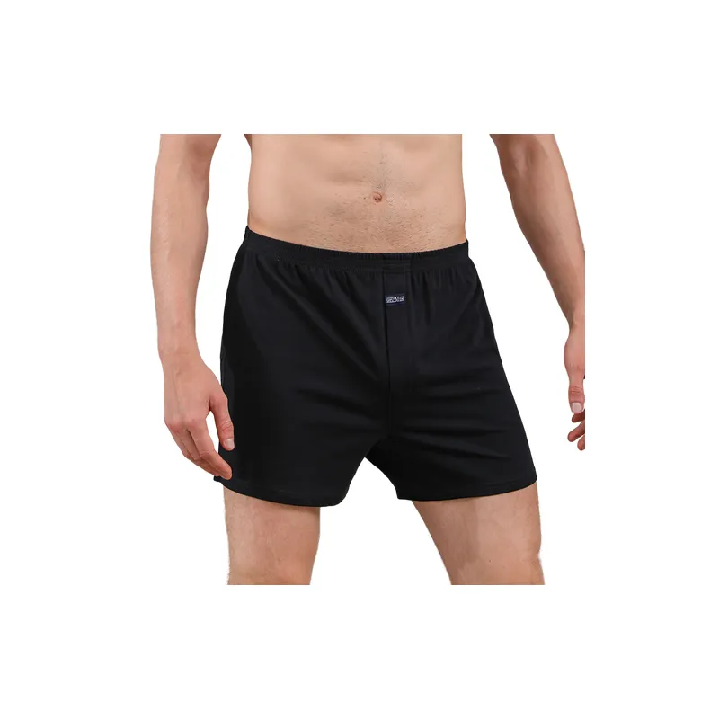 Fashionable Simple Boxer Shorts-1